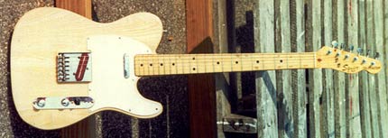 Mandy's Paisley Tele