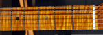 Bill Eisner's Tele mod