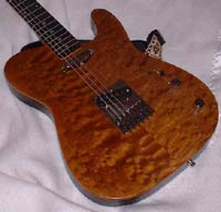 Ed Gordon's Tele Mod