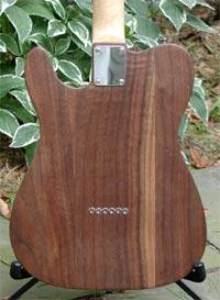 Kirk Foster's custom Tele