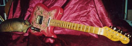 Mandy's Paisley Tele